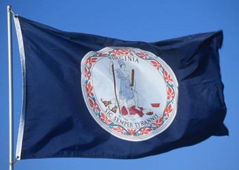 Flag of Virginia waving against a clear blue sky.